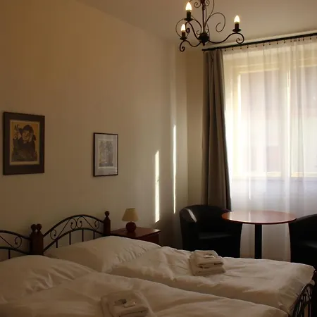 Hotel Cerny Kun 3*
