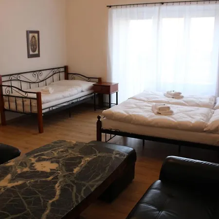 Hotel Cerny Kun 3*