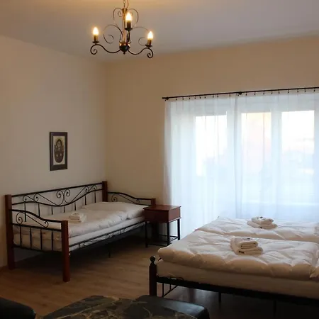 Cerny Kun 3* Louny