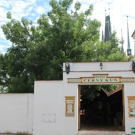 Cerny Kun 3* Louny