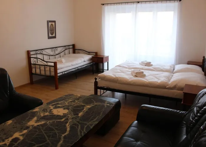 Hotel Cerny Kun 3*