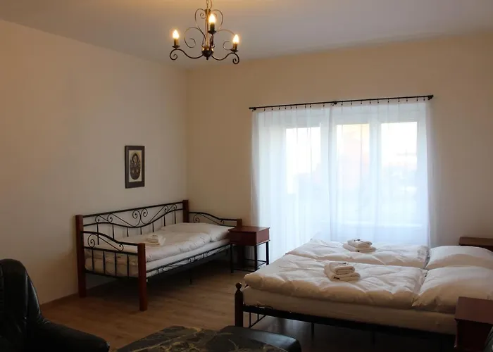Cerny Kun 3* Louny