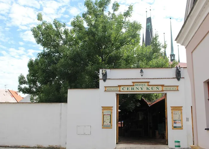 Cerny Kun 3* Louny
