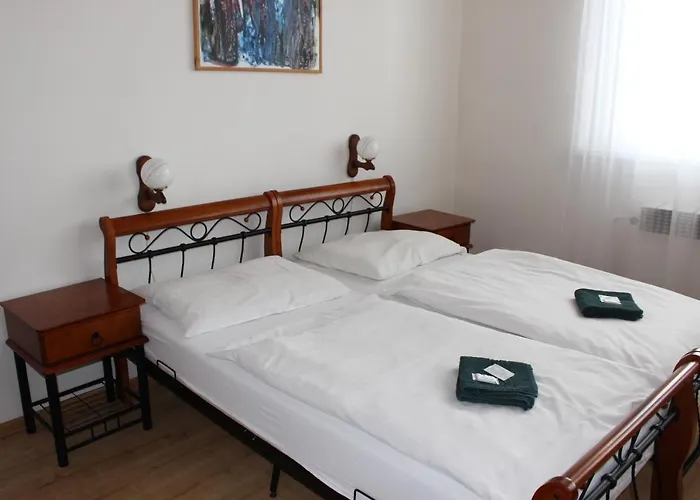Hotel Cerny Kun 3*